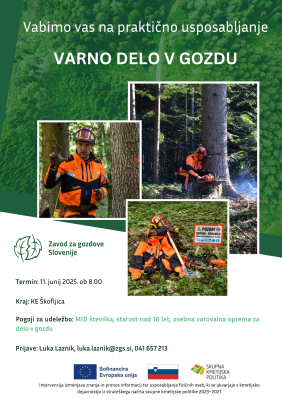 Vabilo na delavnico 11. junij 2025