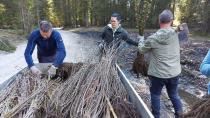 Sadnja na območju Pokljuke in Mežakle – ko združimo znanje, moči in voljo
