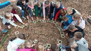 Izvajanje ene od aktivnosti gozdne pedagogike