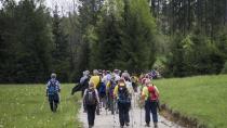 Uvodna prireditev in uradna otvoritev Tedna gozdov 2019 v Ljubljani in na Bloški planoti