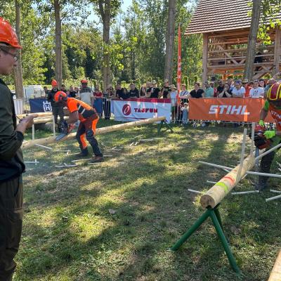 Utrinki s pretekle Agre