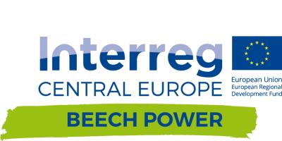 The UNESCO World Heritage Site: “Ancient and Primeval Beech Forests of the Carpathians and Other Regions of Europe”.