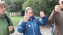Autumn Educational Seminar with Forest Pedagogy Activities