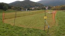 »Varna paša« – spletna stran o pomenu in načinih varovanja premoženja