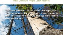 Evropski forum ThinkForest v Pragi na temo soočanja z naravnimi ujmami in njihovimi posledicami v gozdovih
