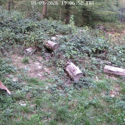 Risji mladič v rehabilitacijskem centru. Foto: Ministrstvo za okolje in prostor