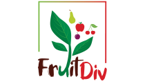 FRUITDIV