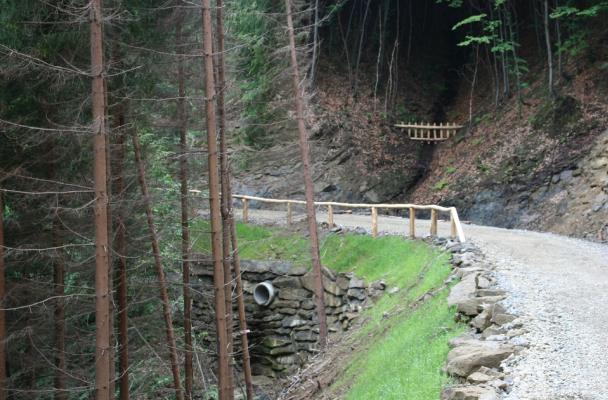 Forest road