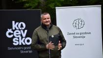 Na Risovi učni poti osrednji dogodek Tedna gozdov 2024