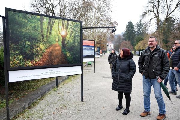 Ogled fotografske razstave na temo gozdni učnih poti