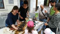 Ščepcu Barja dodali gozd, kulturo in velike zveri