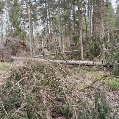 Posledice vetroloma na Gorenjskem