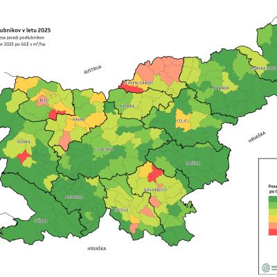 Posek zaradi podlubnikov po Sloveniji