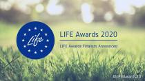 Projekt LIFE DINALP BEAR nominiran za letošnjo nagrado Evropske komisije 