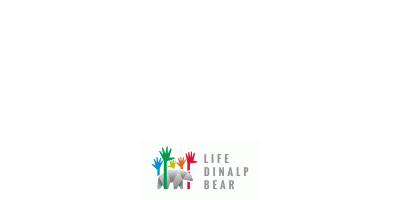 Comprehensive management and protection of the brown bear in the northern Dinarides and Alps