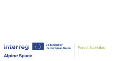 Forest EcoValue - Supporting multiple forest ecosystem services through new circular, green, bio markets and value chains.