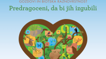 21. marec: Mednarodni dan gozdov 2020: 