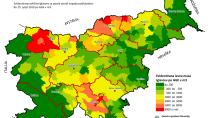 Informacije o napadu podlubnikov v letu 2019 – podatki ZGS z dne 25. 7. 2019