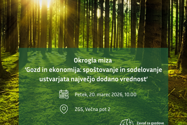 Mednarodni dan gozdov 2026: Gozd in ekonomija