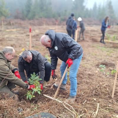 Generalni direktor Direktorata za gozdarstvo in lovstvo MKGP Gregor Meterc, direktor ZGS Gregor Danev in predsednik NZS Radenko Mijatovič med sadnjo
