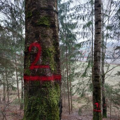 Strokovni obisk ZGS v Celovcu