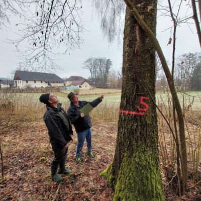 Strokovni obisk ZGS v Celovcu