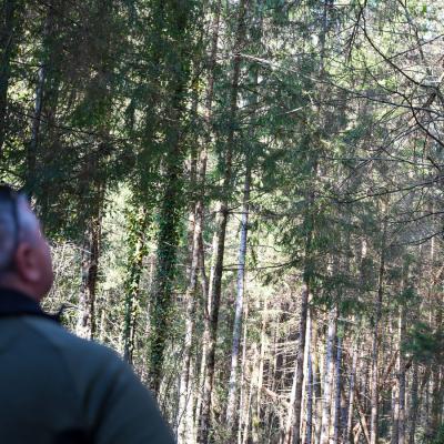 Ogled vetroloma in sanacije na Gorenjskem z MKGP