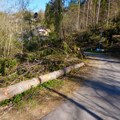 Ogled vetroloma in sanacije na Gorenjskem z MKGP