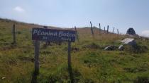 Varovanje drobnice pred napadi velikih zveri na planini Božca