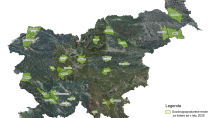 Zbiranje pobud za obnovo gozdnogospodarskih načrtov