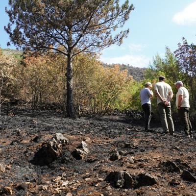 Ogled požari&scaron;ča v Brestovici pri Komnu