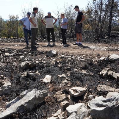 Ogled požari&scaron;ča v Brestovici pri Komnu