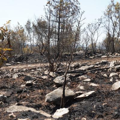 Ogled požari&scaron;ča v Brestovici pri Komnu