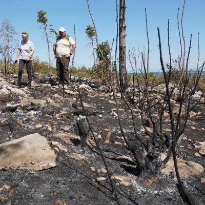 Ogled požari&scaron;ča v Brestovici pri Komnu