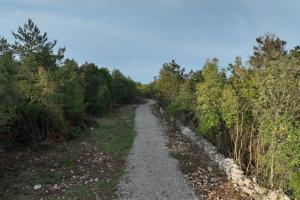ZGS velika pomoč pri prijavah na razpis za naložbe v protipožarno infrastrukturo
