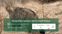 Odprtje fotografske razstave Janeza Sterleta Ujeti trenutki divjine