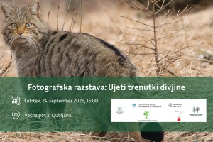 Odprtje fotografske razstave Janeza Sterleta Ujeti trenutki divjine