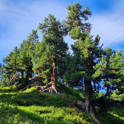 Regional Mountain Conference 2026