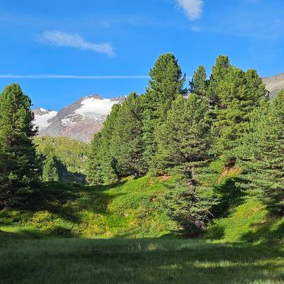 Regional Mountain Conference 2026