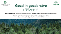 222 pedagogov spremljalo spletno DELAVNICO Ekošole: 