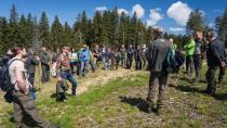 Strokovna ekskurzija po sledeh Nature 2000 v gozdovih Pohorja