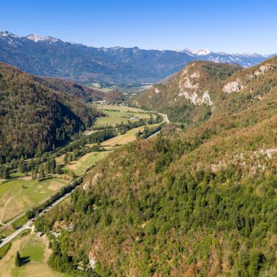 V su&scaron;i 2026 prizadeta drevesa po Sloveniji