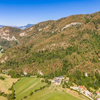 V su&scaron;i 2026 prizadeta drevesa po Sloveniji