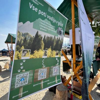 Stojnica ZGS na Svetovnem seka&scaron;kem prvenstvu 2026 v &Scaron;entjerneju