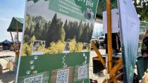 ZGS na 36. Svetovnem sekaškem prvenstvu poudarja pomen varnega dela v gozdu in aktivnega gospodarjenja