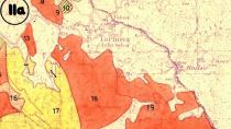 Sečnja v borovih sestojih na območju naselja Trnovo in zimska sečnja v Trnovskem gozdu