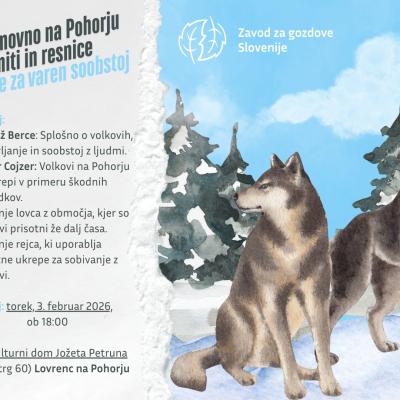 Volk ponovno na Pohorju &ndash; miti in resnice, Lovrenc na Pohorju
