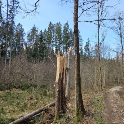 Vetrolom na Gorenjskem