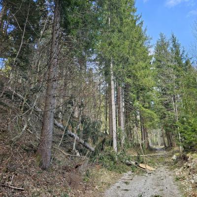 Vetrolom na Gorenjskem
