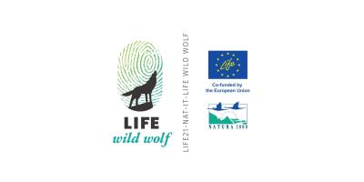 Concrete actions for maintaining wolves wild in anthropogenic landscapes of Europe.